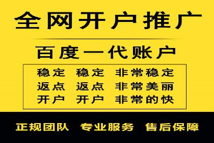 SEM推广实战：案例分析及策略调整